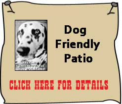 Bring Your Dog Along